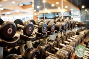 Rows of dumbbells in a professional gym.